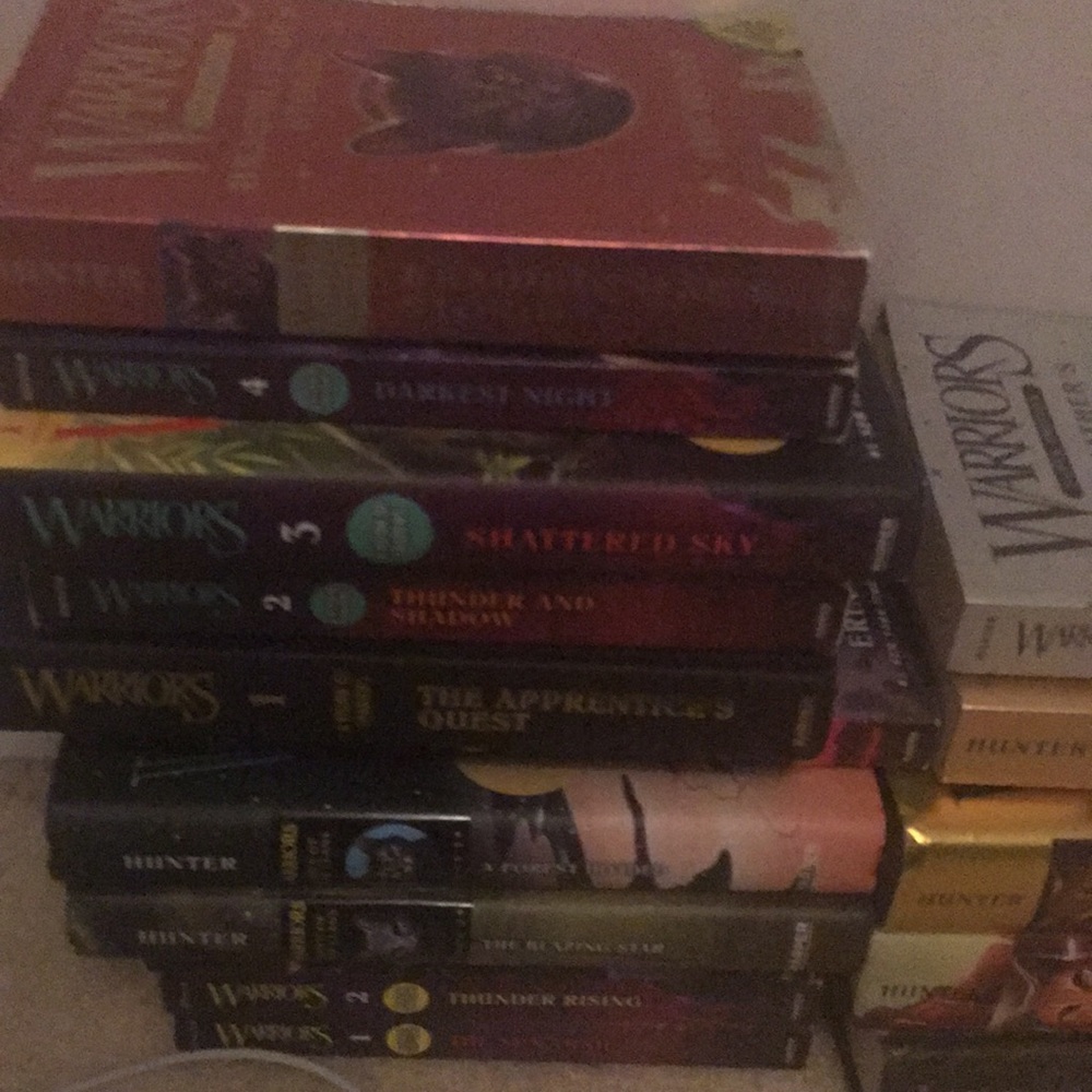 Warriors lot 1